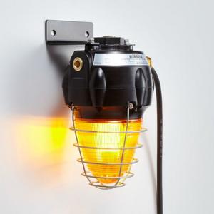 Ex d Blitzleuchte BERNSTEIN Reihe FX15 115 V AC / 5 J / 140 mA / IP66