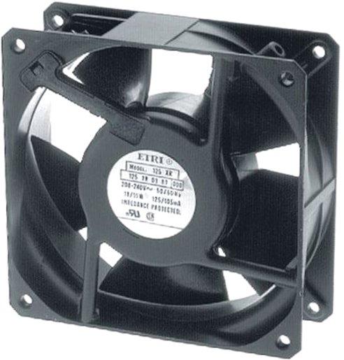Main media