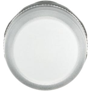 Serie CL2 kompakte LED Meldeleuchte 22mm für 110 - 130 V AC KLAR