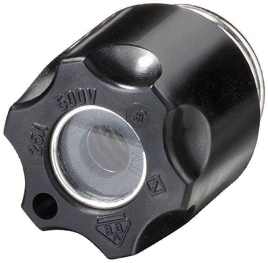 DIAZED Schraubkappe Baugr. DII 25A AC DC 500V Isolierstoff Prüfloch