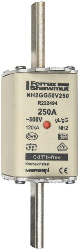 NH-Sicherung gG Gr.2 500VAC/250VDC 100A mit spannungsführenden Grifflaschen