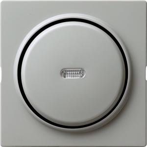 Taster senkrecht Wechsler Kontroll für S-Color grau