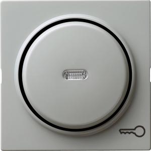 Wippe Kontroll Symbol Schlüssel für S-Color grau