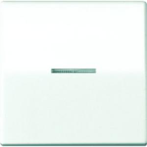 Wippe Linse Lichtleiter Zentralplatte Wipp-Kontrollschalter BA 1-fach
