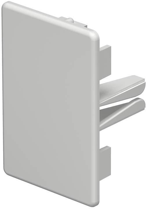 Endstück 40x60mm PVC reinweiß RAL 9010