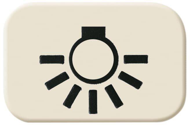 Tastersymbol mit Symbol Licht weiß - Busch-Duro 2000&nbsp;SI