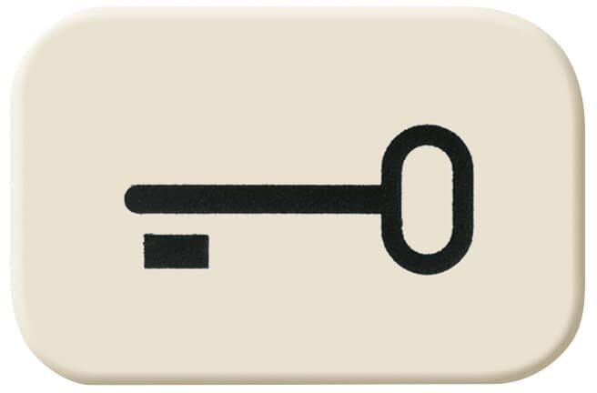 Tastersymbol mit Symbol Schlüssel weiß - Busch-Duro 2000&nbsp;SI
