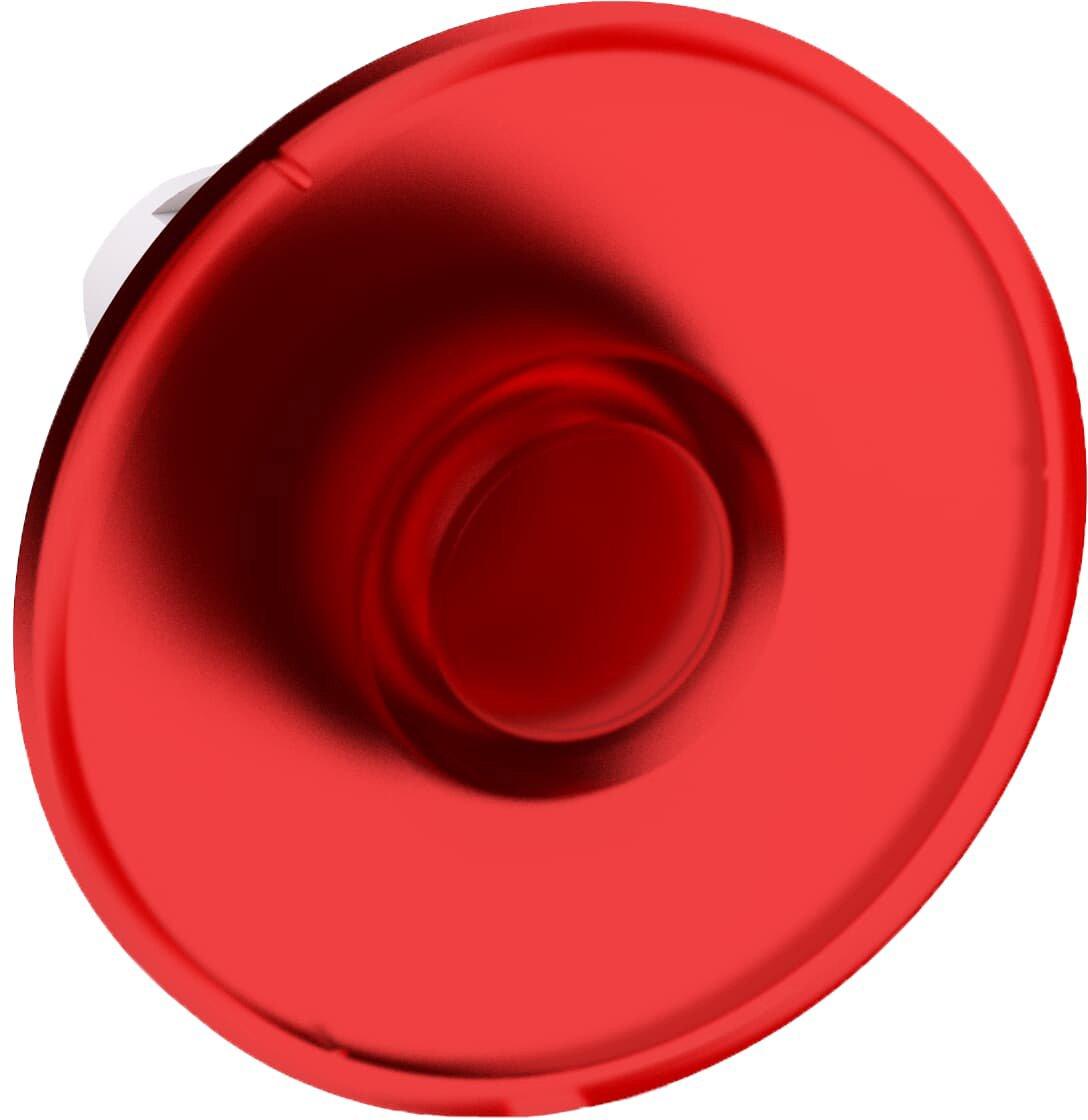 Main media