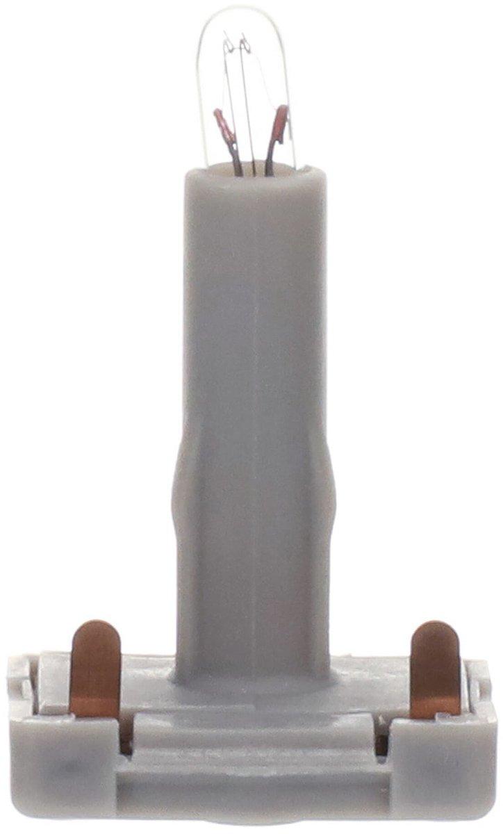 Steck Glühlampe 40 mA 12 V