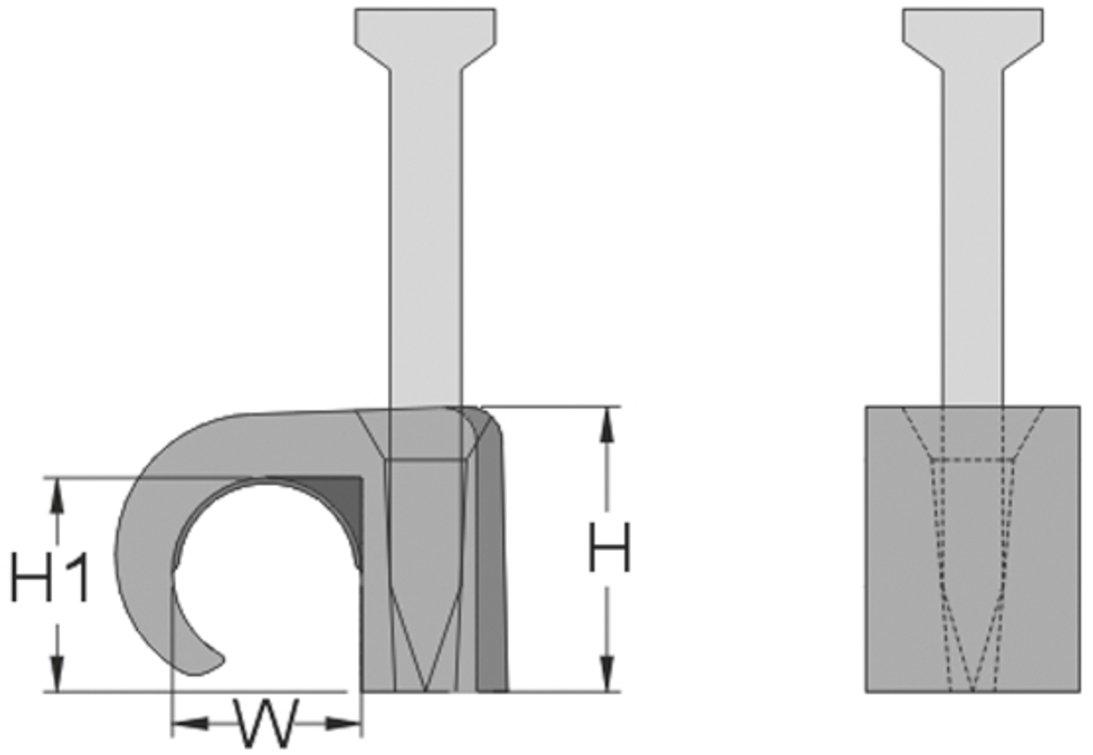 Main media