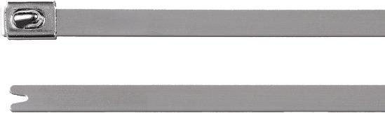 Main media
