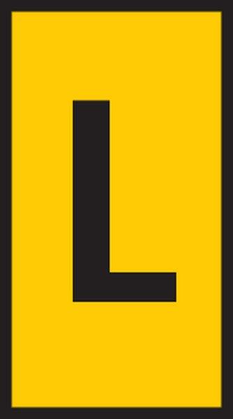 Main media