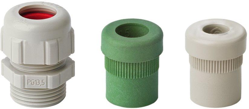 Main media