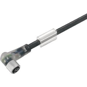 Sensor-Aktor-Leitung (konfektioniert) Einseitig offen M12 / M8 3 5 m B