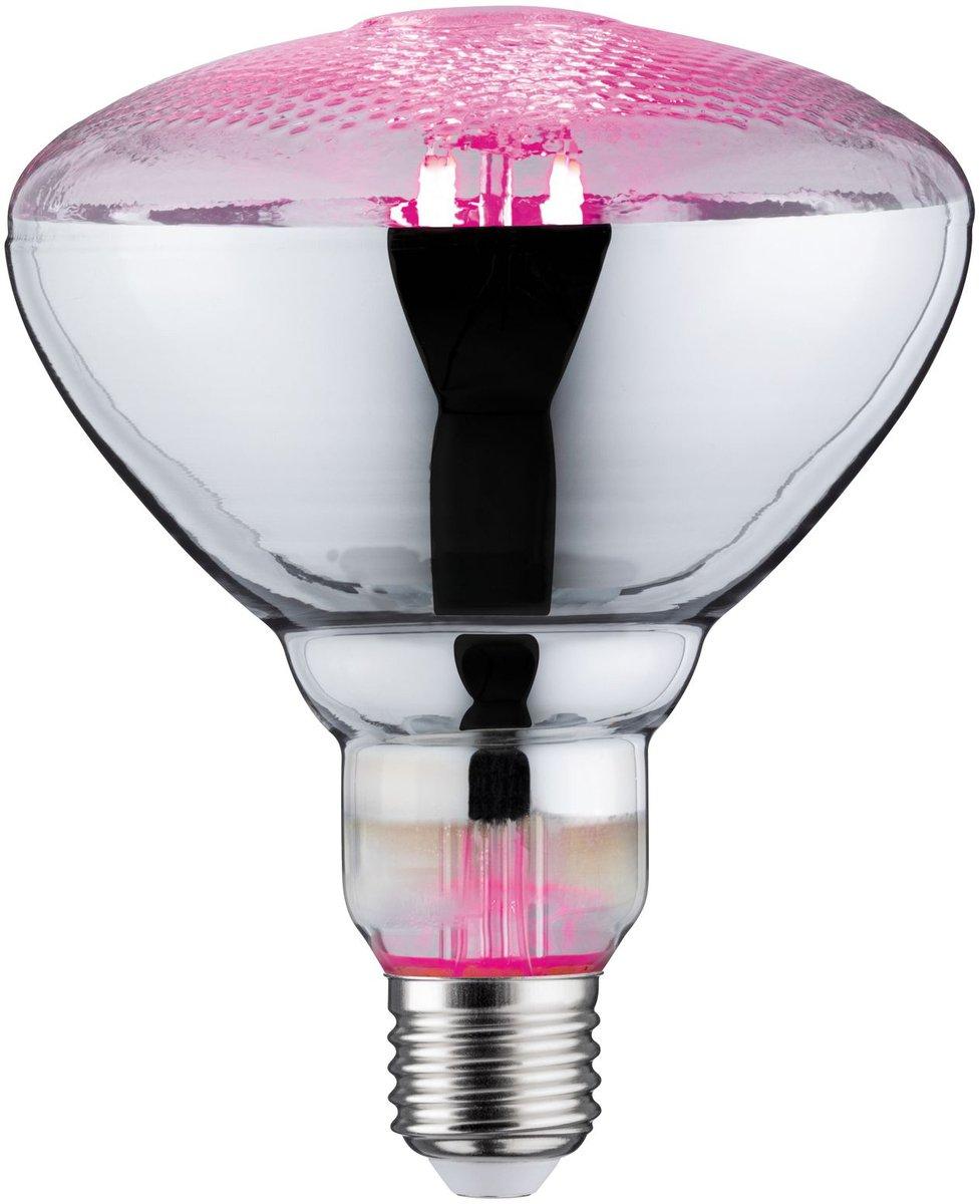 LED Filament Spot Plant PAR38 E27 6,5W 230V