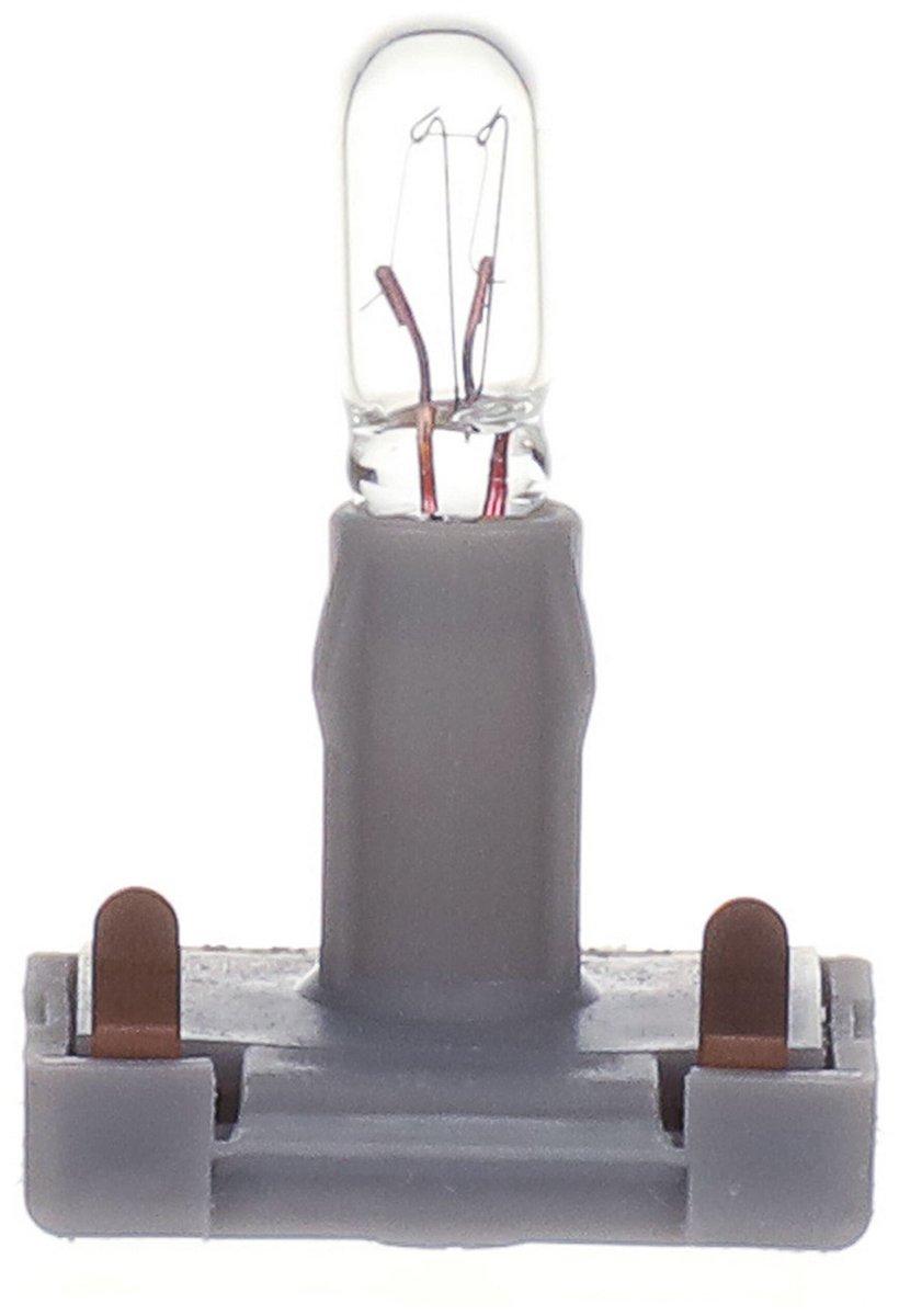 Steck Glühlampe 22 mA 24 V AC/DC