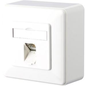 E-DAT C6A 1 Port AP reinweiß