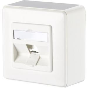 Modul Anschlussdose AP 1 Port unbestückt reinweiß