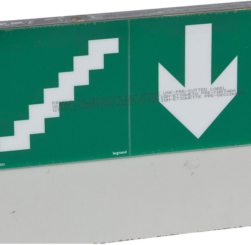 Piktogramm Treppe Pfeil 127x254 Einschub für die Signalscheibe