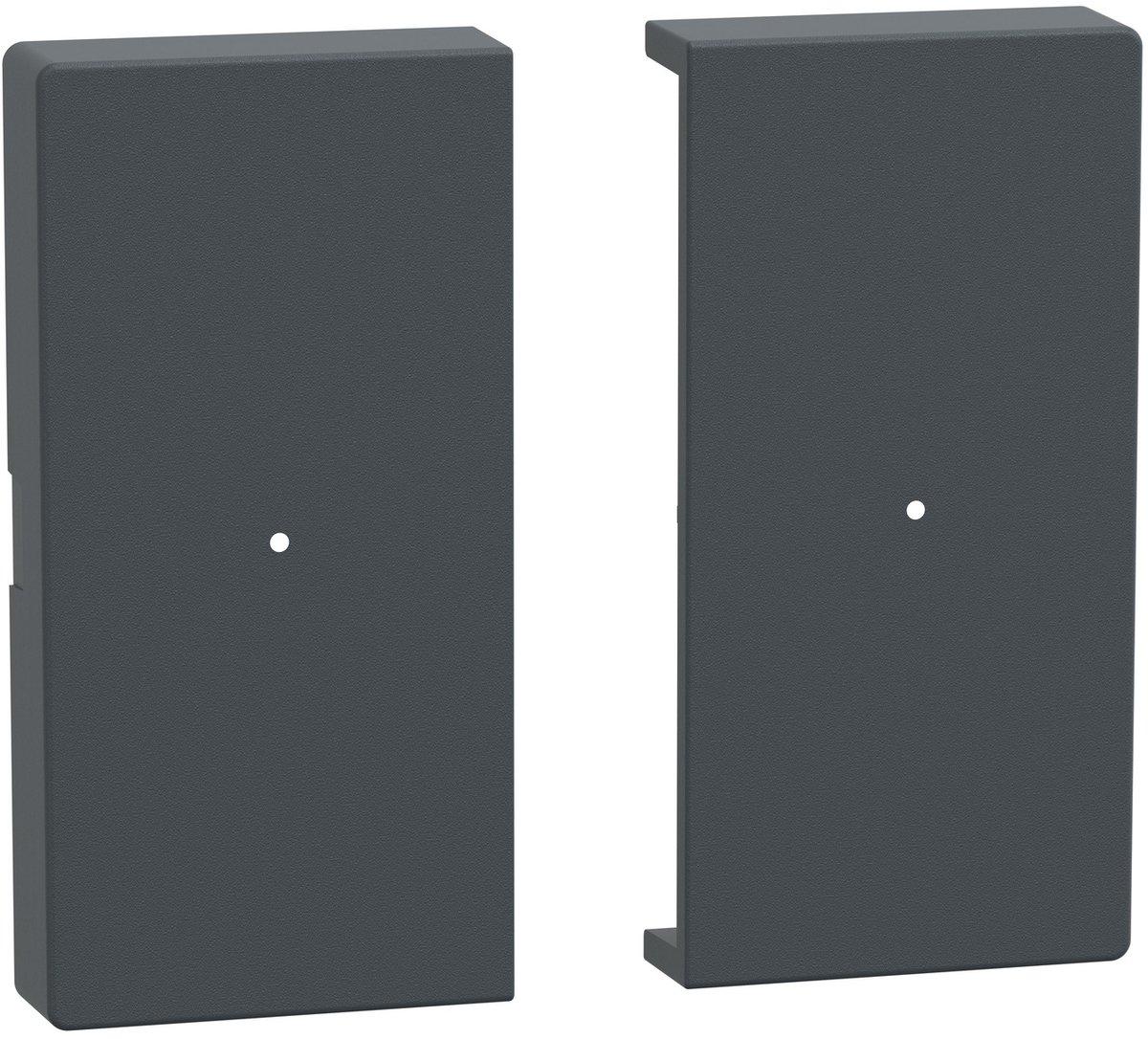 Wippen für Taster-Modul 2fach anthrazit System M