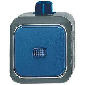 Wippschalter Aus- und Wechselschaltung blau - Busch-Duro 2000 WDI