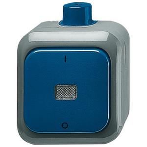 Wippschalter 2-poliger Schalter blau - Busch-Duro 2000 WDI