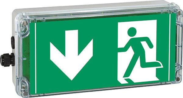 EXIT 2(ARROW 6 clock) PL acc.. ISO 7010