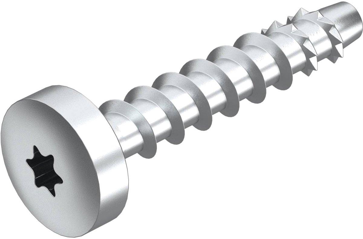 Rundkopfanker mit Panhead 6x40mm St verzinkt