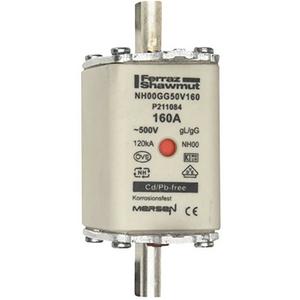 NH-Sicherung gG Gr.00 500VAC/250VDC 125A mit spannungsführenden Grifflaschen