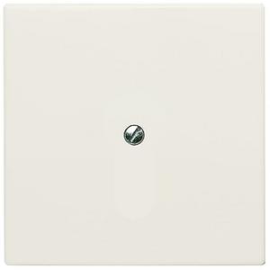 Blindzentralscheibe mit Tragring weiß - Allwetter 44 (IP44)