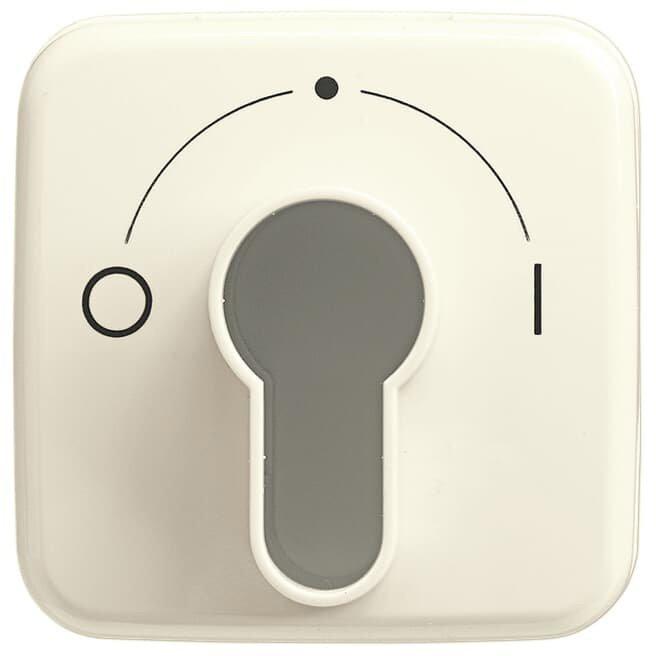 Zentralscheibe mit Schlüsselschalter für Jalousie weiß - Busch-Duro 2000 SI