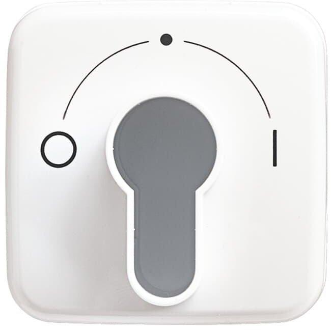 Zentralscheibe mit Schlüsselschalter für Jalousie alpinweiß - Reflex SI