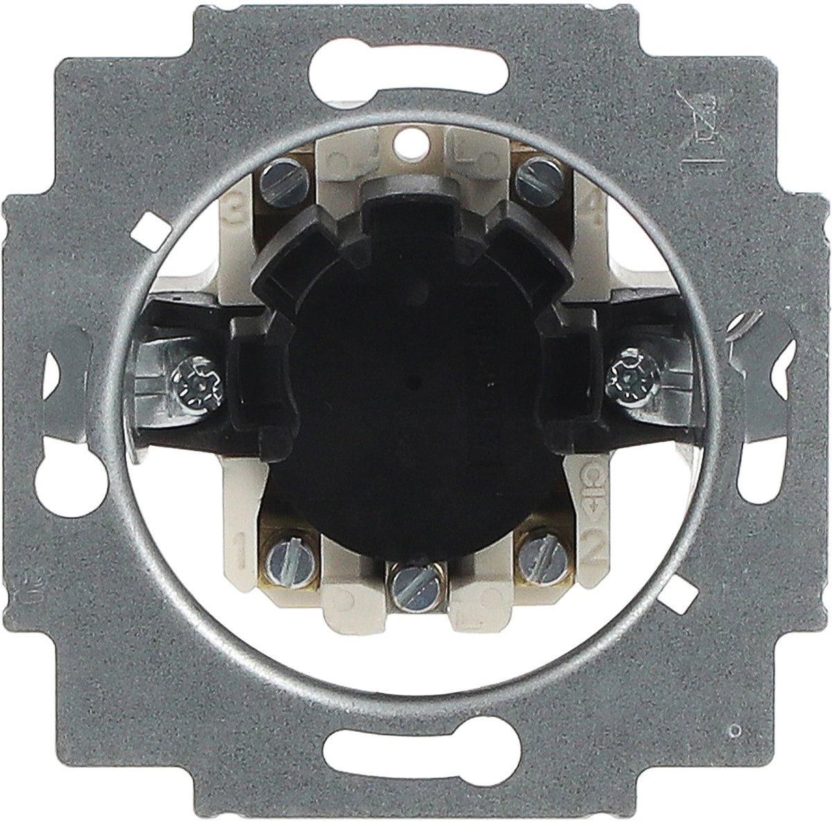 Jalousieschalter-Einsatz 1-poliger Taster 10 A für Profilhalbzylinder