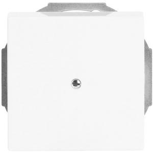 Zentralscheibe mit Leitungsauslass mit Tragring studioweiß - Plattform 63