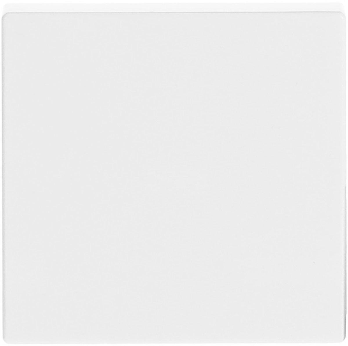 Wippe 1-fach für Schalter/Taster studioweiß - Plattform 63