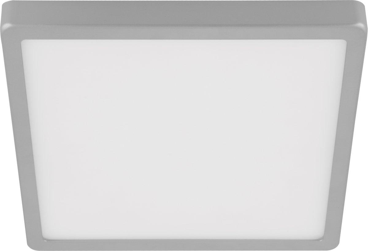 Main media