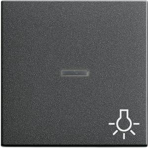 Wippe Kontroll Symbol Licht System 55 anthrazit