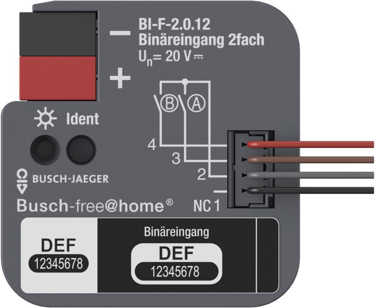 Binäreingang 2fach UP mit Kontaktabfragespannung