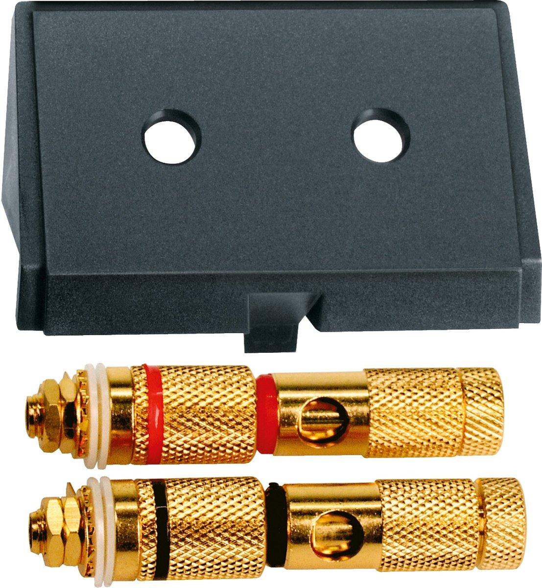 Einschub mit High-End Lautsprecher-Steckv. schwarz