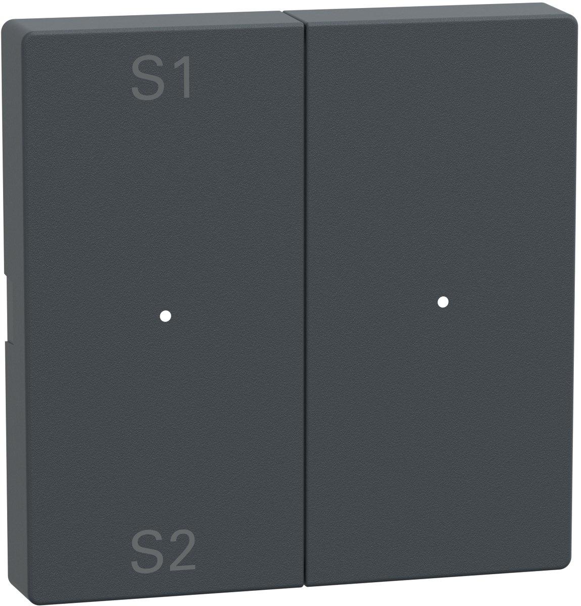 Wippen für Taster-Modul 2fach (Szene1/2 blank) anthrazit System M