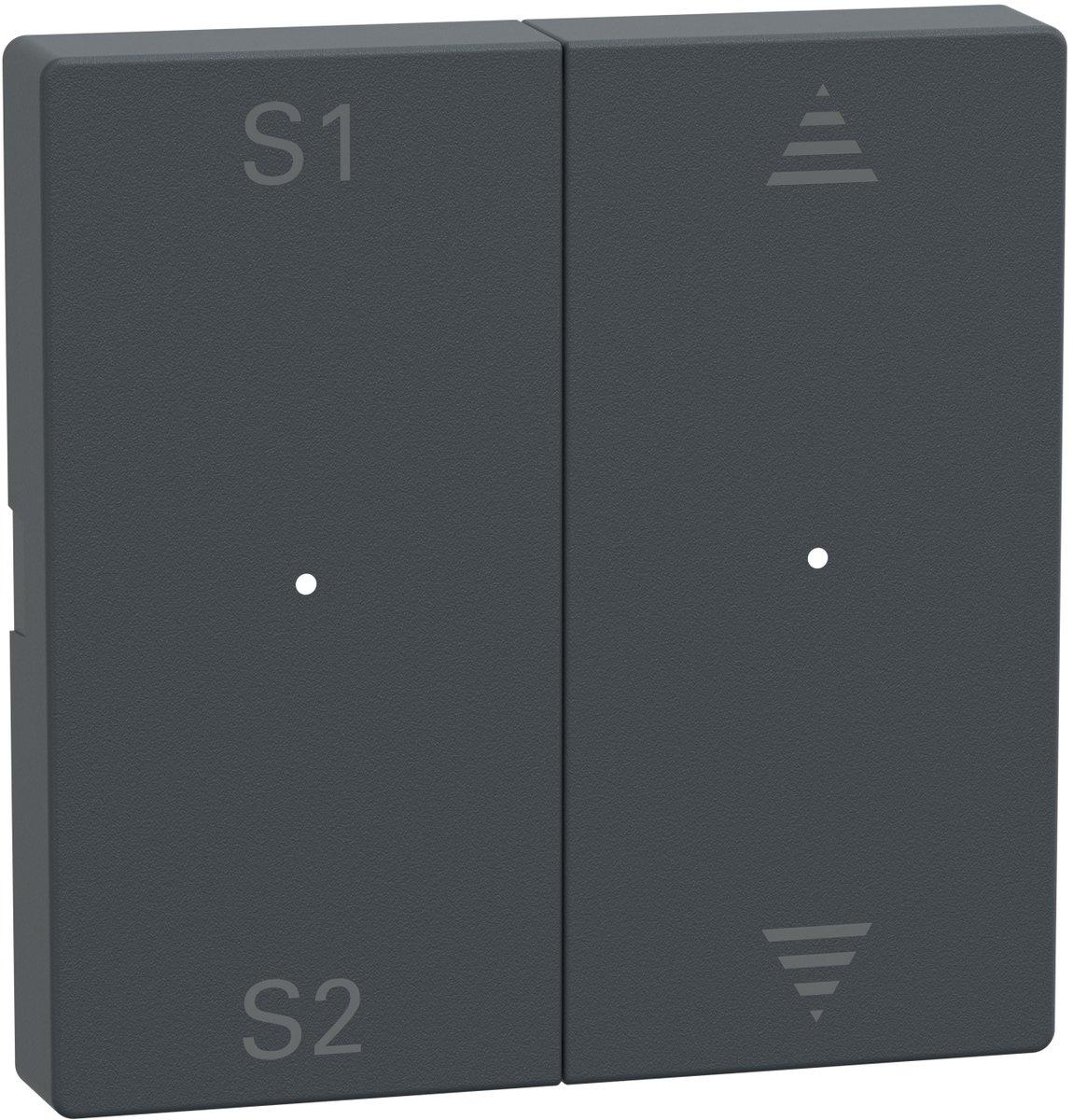 Wippen für Taster-Modul 2fach (Szene1/2 Pfeile Auf/Ab) anthrazit System M