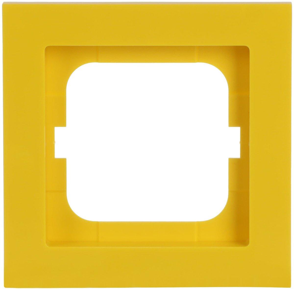 Main media