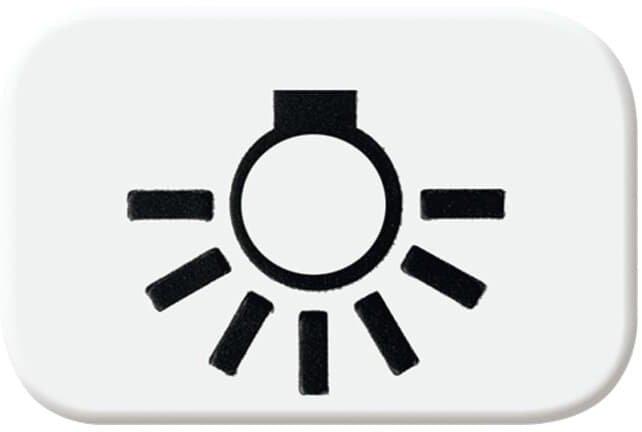 Tastersymbol mit Symbol Licht alpinweiß - balance&nbsp;SI / Reflex SI