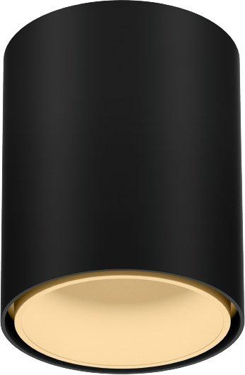 Deckenanbaudownlight RAY MINI CEILING SURF 1.0 LED 1800-3000K schwarz + Champ.