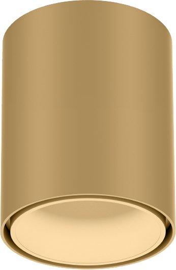 Deckenanbaudownlight RAY MINI CEILING SURF 1.0 LED 1800-3000K Champagner