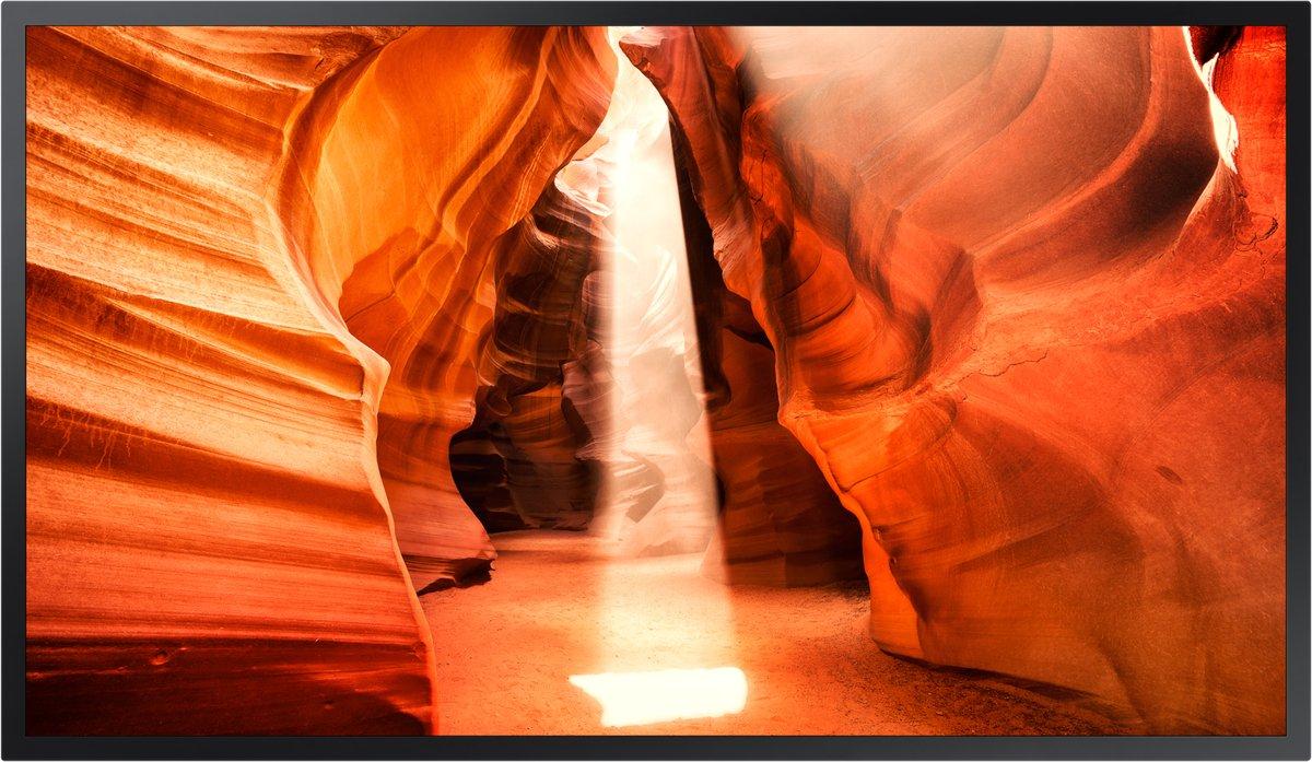 Full HD Window Display 55 Zoll