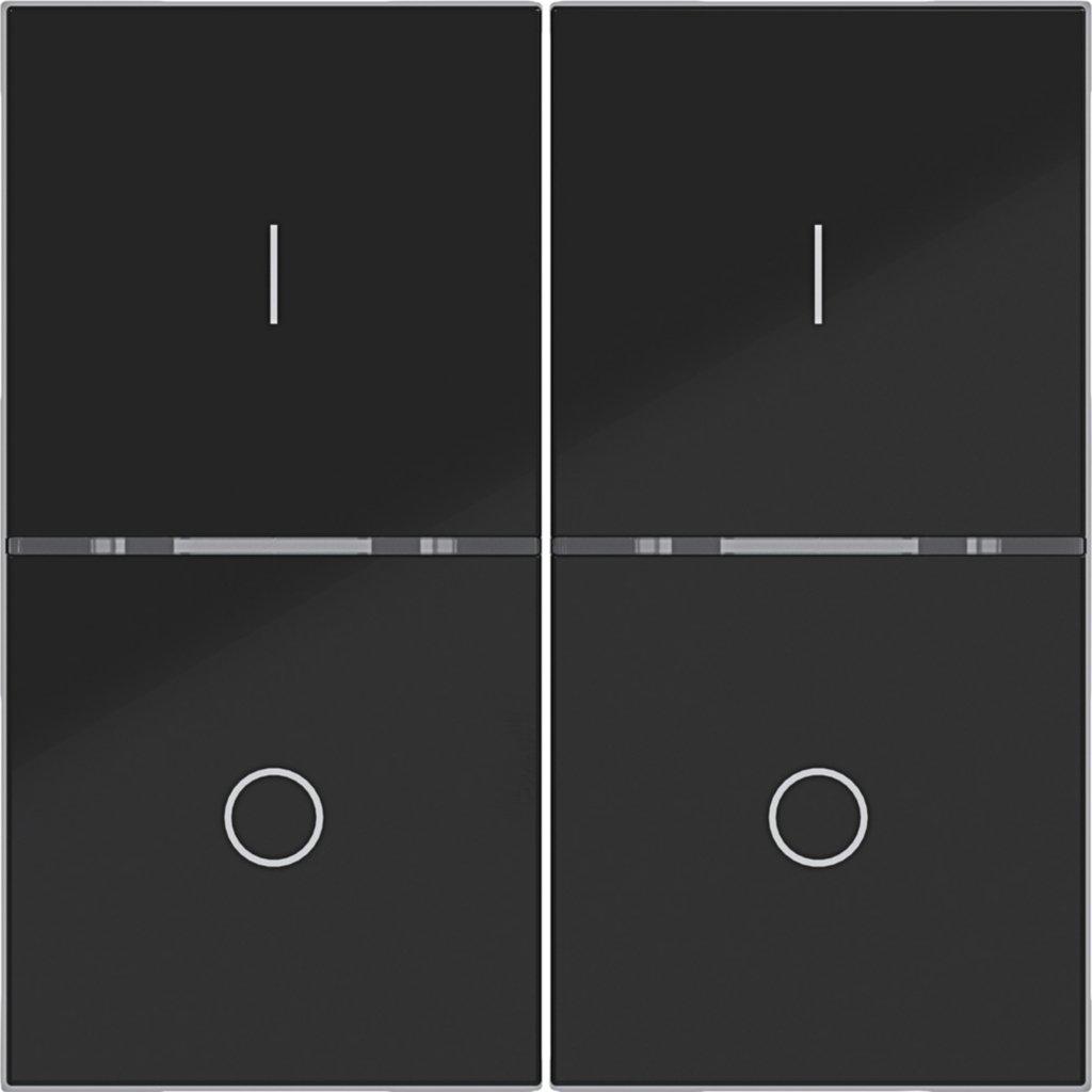 Abdeckung 2fach I/O für Taster Matter vernetzbar A.x/C.x nachtschwarz glänzend