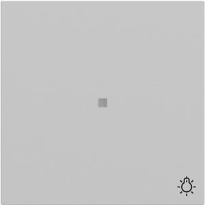 Wippe Kontrollfenster + Symb. Licht System 70 Grau matt lack.