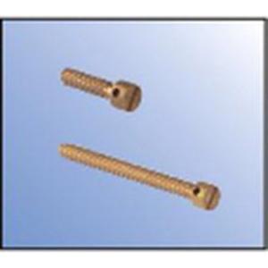 Plombierschraube L=40 mm mit Querbohrung im Schraubenkopf