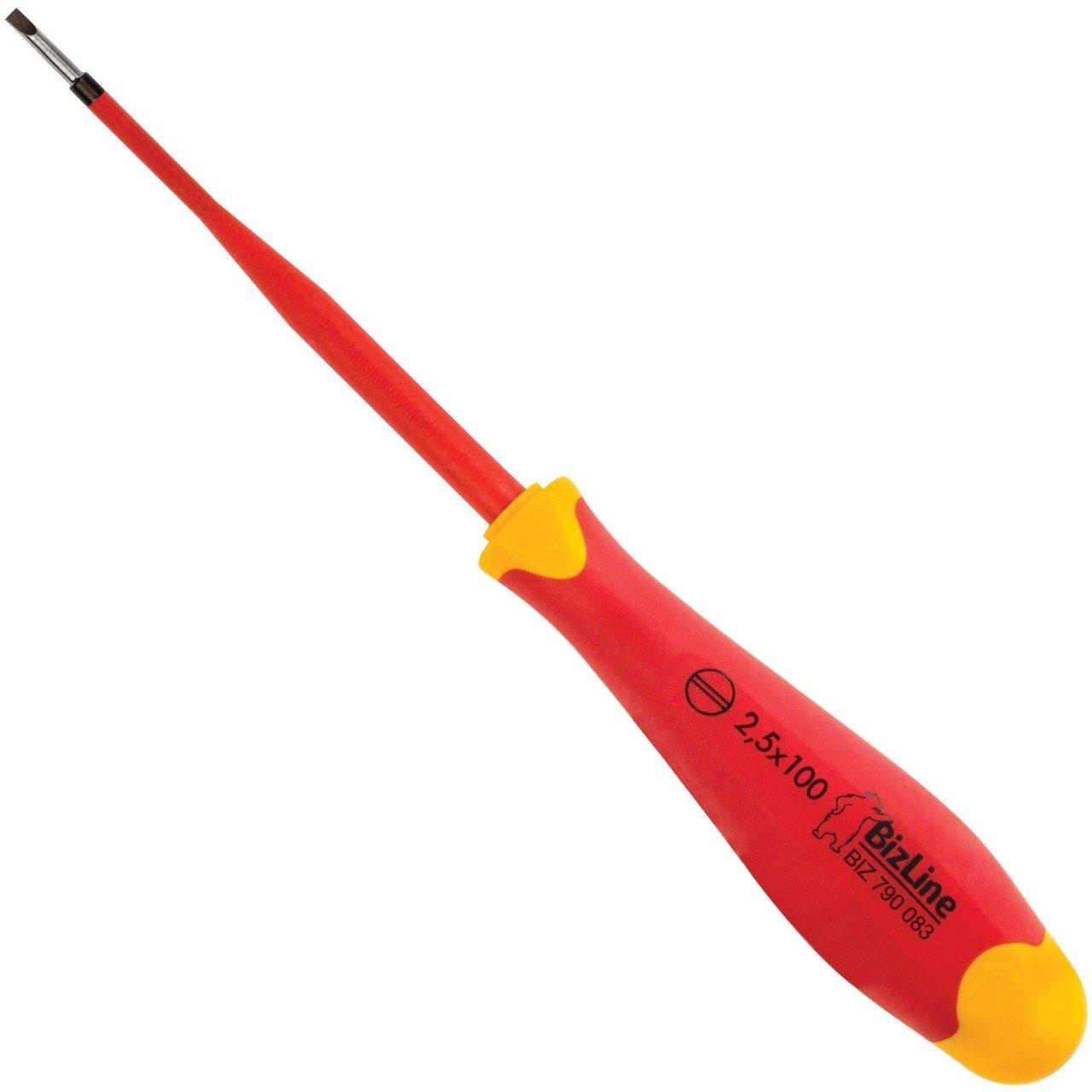 790083 I-SLIM SCREWD. SLOTTED 2.5X100